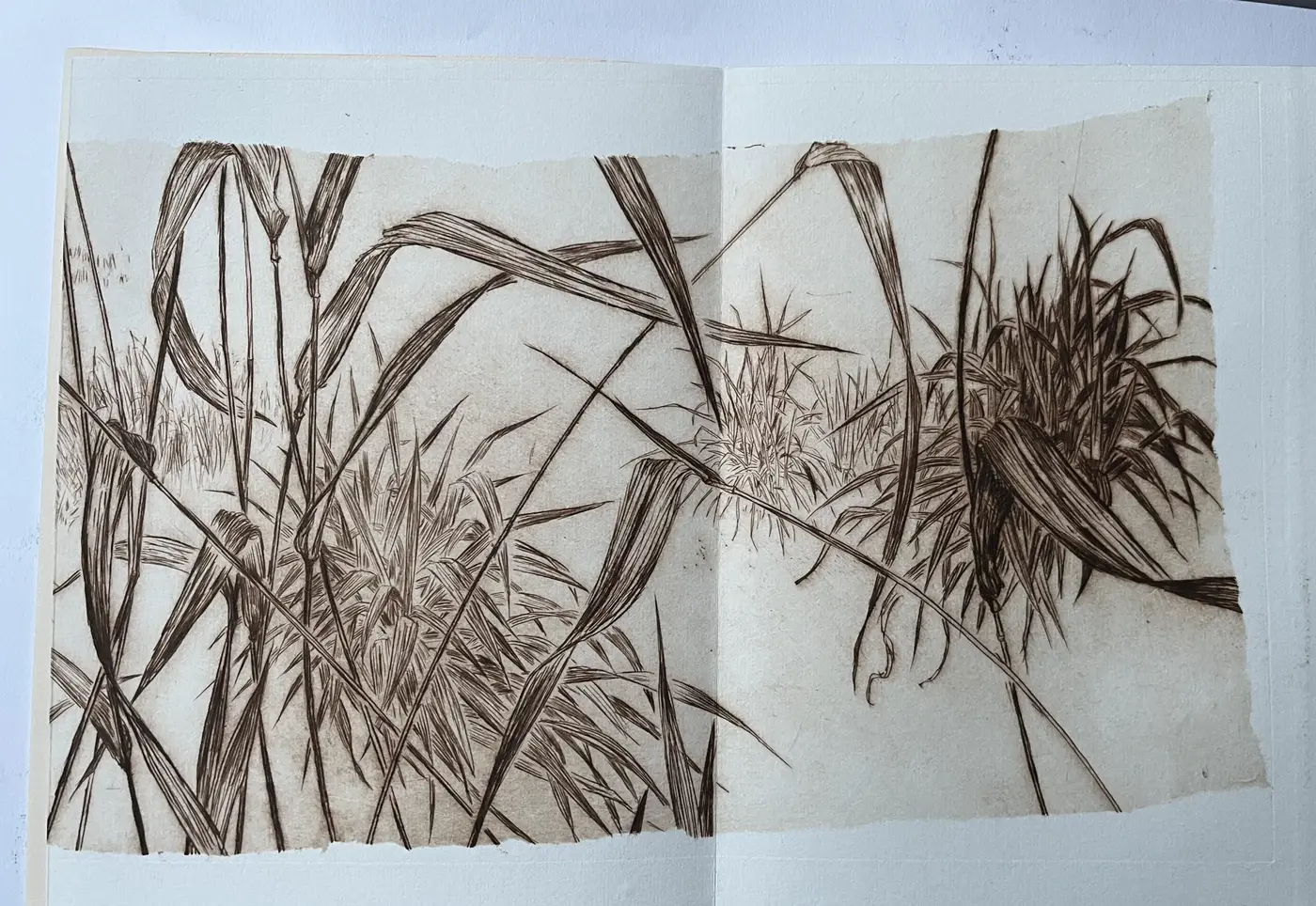 THE GRASS SO LITTLE HAS TO DO - inside view